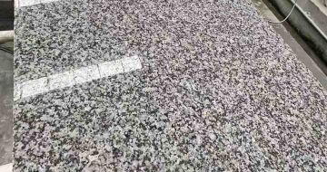 张家口 芙蓉白光面