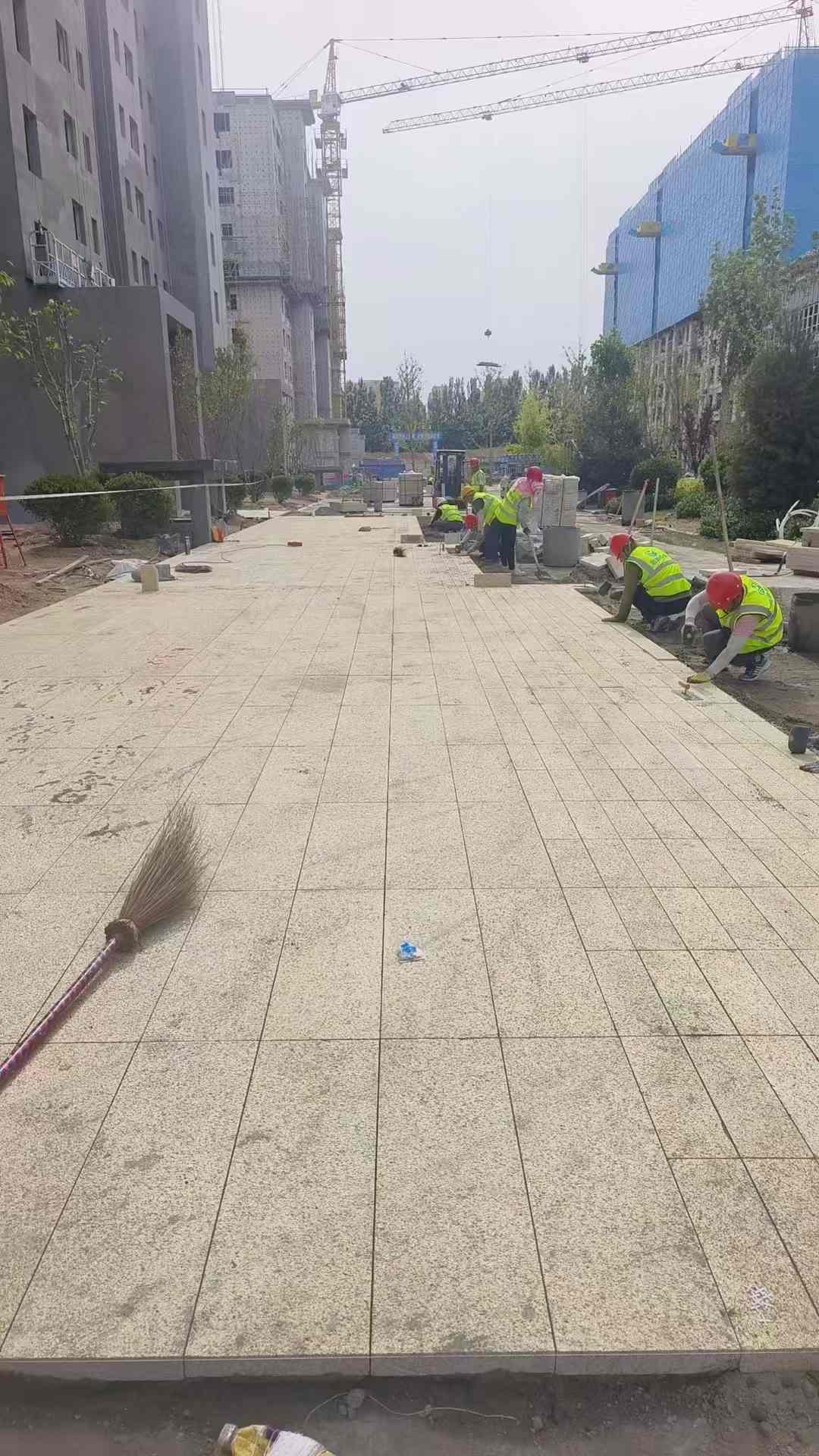 张家口黄金麻荔枝面地铺案例