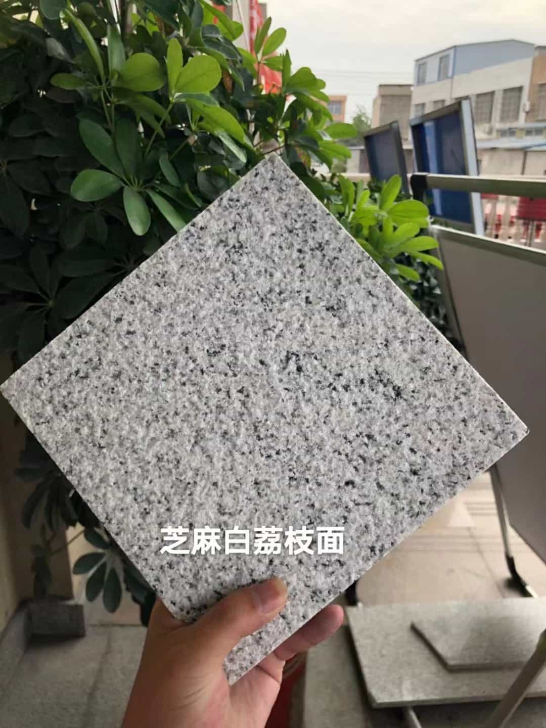 张家口 芝麻白荔枝面干挂